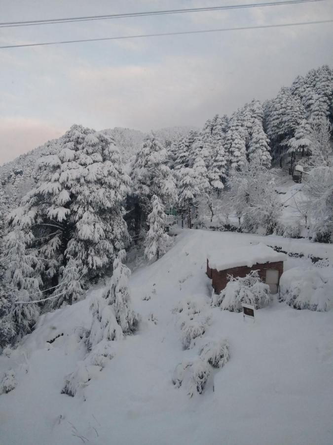 Hotel Green Orchid Udhampur 外观 照片