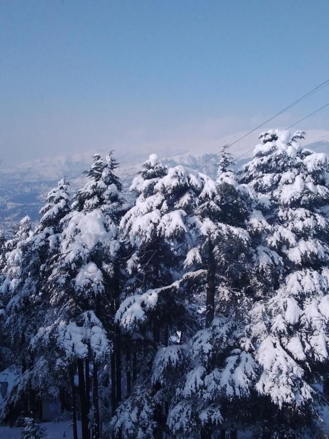 Hotel Green Orchid Udhampur 外观 照片