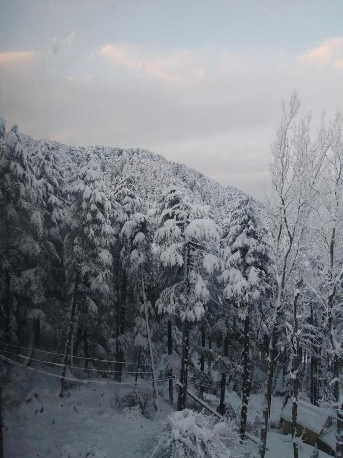 Hotel Green Orchid Udhampur 外观 照片